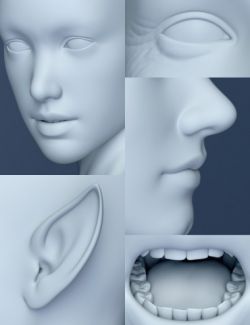 Genesis 8 Female Head Morphs