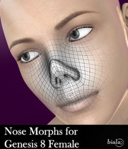 Nose Morphs for Genesis 8 Female