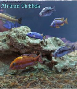 3D Underwater Fauna: African Cichlids