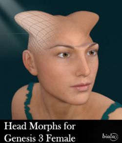 Head Morphs For Genesis 3 Female