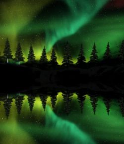 Northern Lights