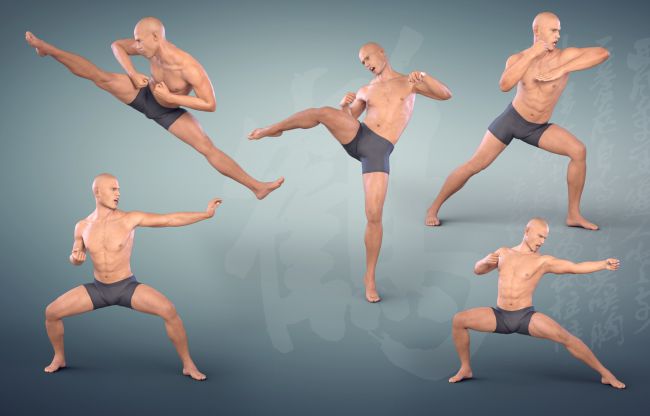 Second Life Marketplace - ::eXpression:: Poses - Martial Arts: Wing Chun