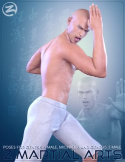 Z Martial Arts- Poses for Genesis 3 Male, Genesis 8 Male and Michael 8