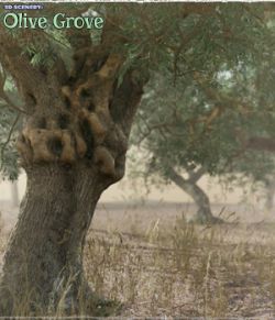 3D Scenery: Olive Grove