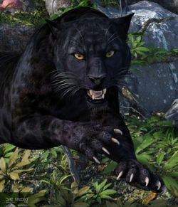 CWRW Black Panther for the HiveWire Big Cat