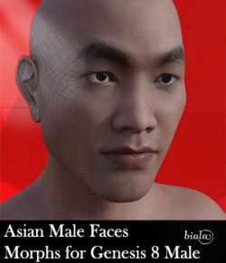 Asian Male Face Morphs for Genesis 8 Male