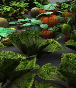 Vegetable Plants 2- Extended License