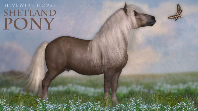 HiveWire Shetland Pony