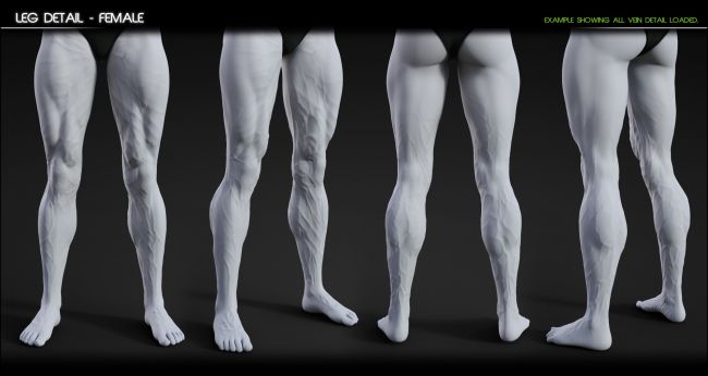 Vascularity HD for Genesis 8 Female and Male | 3d Models for Daz Studio ...