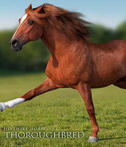 HiveWire Thoroughbred