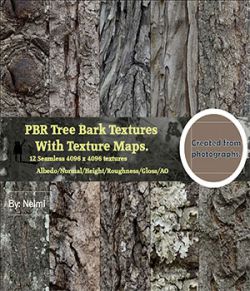 12 PBR Tree Bark Textures with Texture Maps