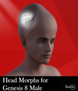 Head Morphs For Genesis 8 Male