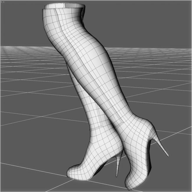 Knee High Leather Boots for G8F | 3d Models for Daz Studio and Poser