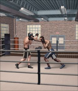 Boxing Gym