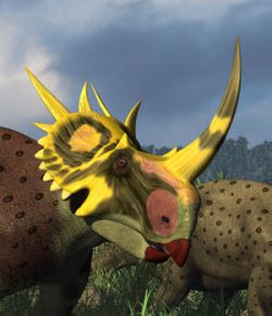 Rubeosaurus DR