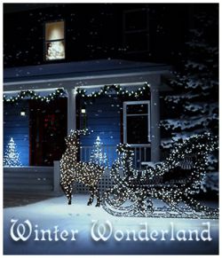 Winter Wonderland for Poser and DS