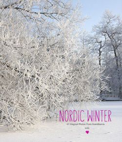 Nordic Winter