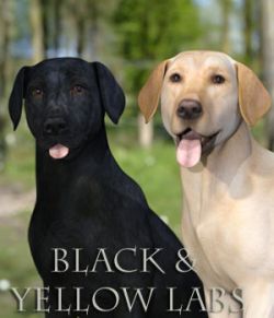 Black and Yellow Labs for the HiveWire Big Dog