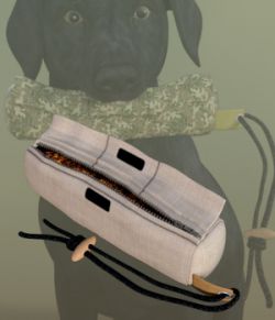 Morphable Snack Dummy for HW BigDog- Daz version