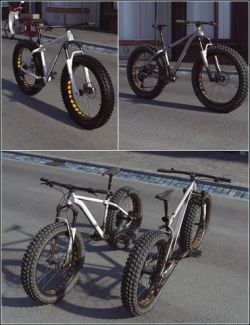 Fat Bike