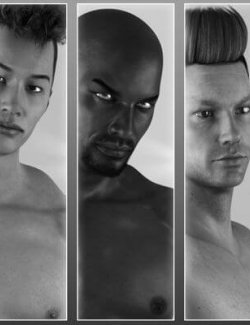 All Man- Presets for Bundle 01 for Genesis 8 Male