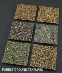 Forest ground PBR textures