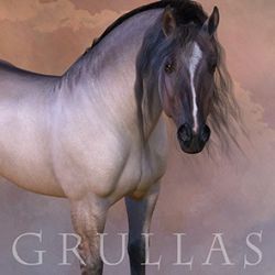 CWRW Grullas for the HiveWire Horse