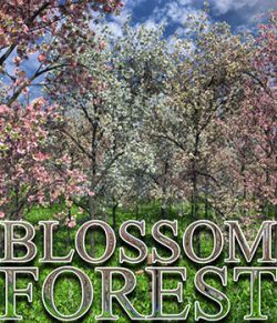 Flinks Blossom Forest