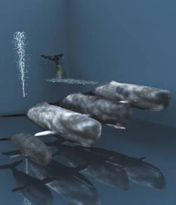 Poseable Sperm Whales For Vue