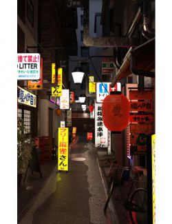 Japanese Alley