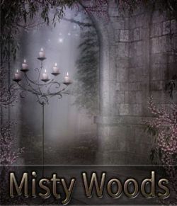 Misty Woods Backgrounds