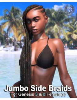 Jumbo Side Braids for Genesis 3 and 8 Female(s)