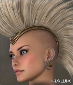 Hawk- Hair and more