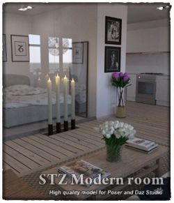 STZ Modern room