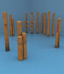 Old Wooden Pilings For Vue