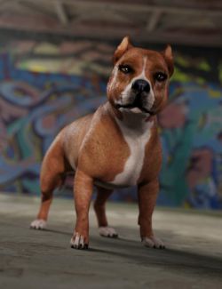 Bully for Daz Dog 8