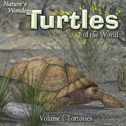 Nature's Wonders Turtles of the World Vol. 1