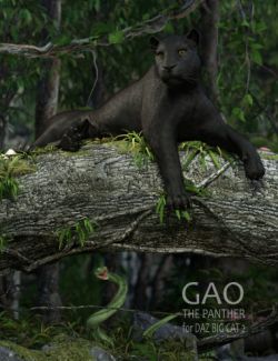 Gao The Panther for DAZ BIG CAT 2