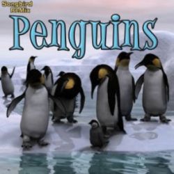 Songbird ReMix Penguins