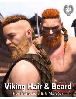 Viking Hair and Beard for Genesis 3 and 8 Male(s)