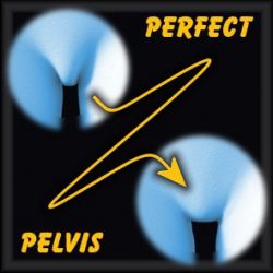 Perfect Pelvis for Dawn