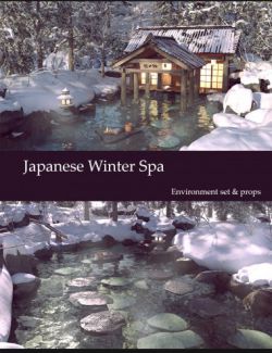 Japanese Winter Spa