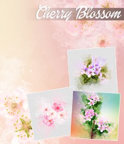 Cherry Blossom