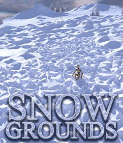 Flinks Snow Grounds