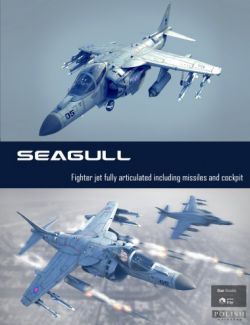 Seagull Fighter Jet