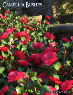 Predatron Camellia Bushes