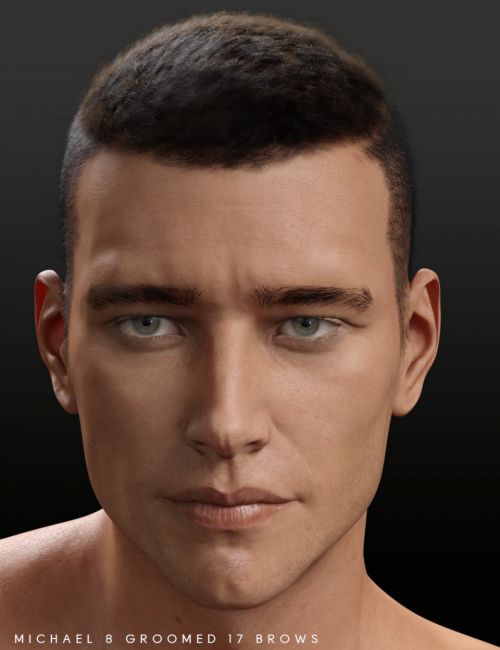 Bold Brows Fibermesh For Genesis 8 Males | 3d Models for Daz Studio and ...