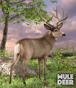 HiveWire Mule Deer Buck