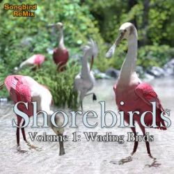 Songbird ReMix Shorebirds Vol 1 - Wading Birds