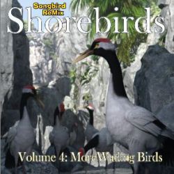 Songbird Remix Shorebirds Vol 4 - More Wading Birds